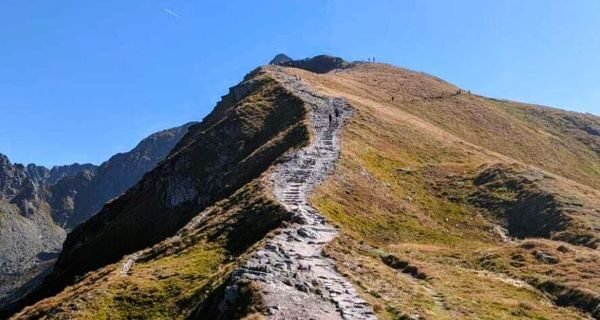 010 | Goals: The Power of the Path